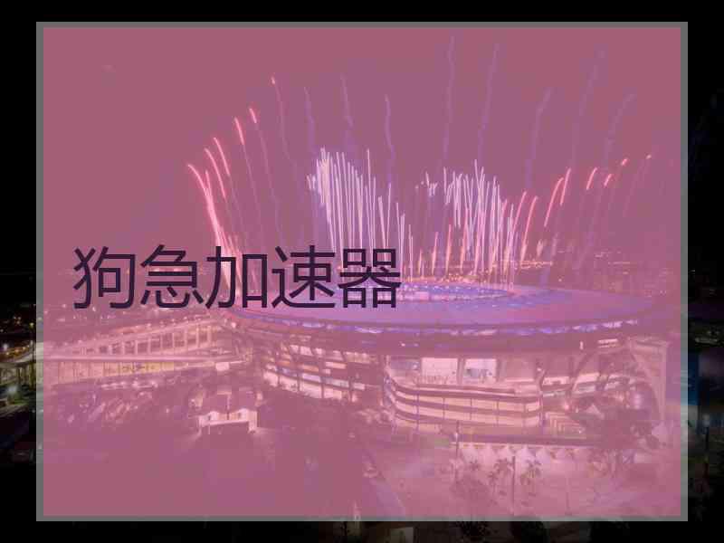 狗急加速器 狗急加速器