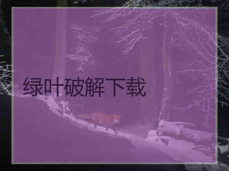绿叶破解下载