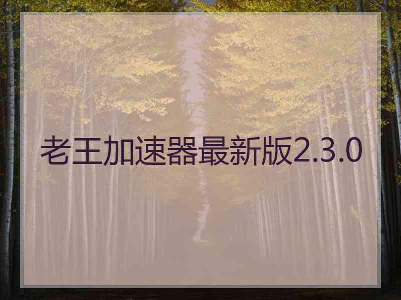 老王加速器最新版2.3.0