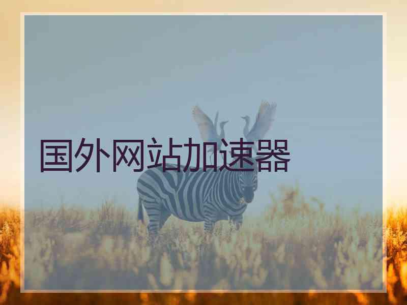 国外网站加速器